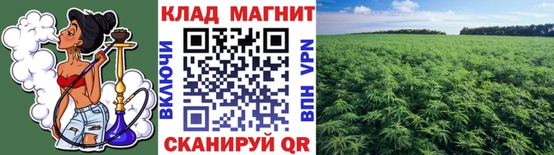 Как найти наркотики Киржач KRAKEN как зайти  Гашиш  А ПВП  Бутират 