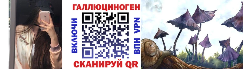 Галлюциногенные грибы мицелий  Киржач 